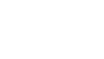 BISNODE.png